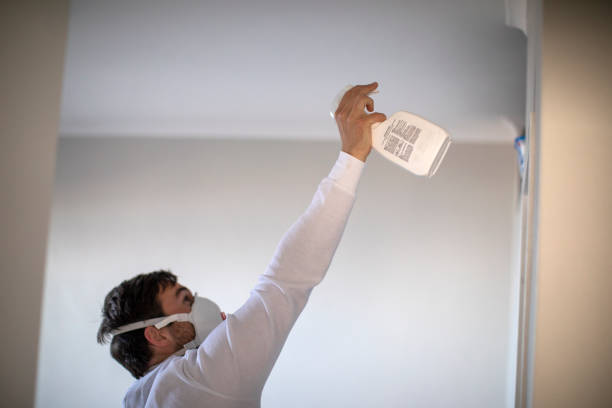 Trusted Columbus, MS Mold Remediation Experts