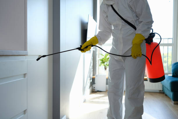 Best Post-Flood Mold Remediation in Columbus, MS